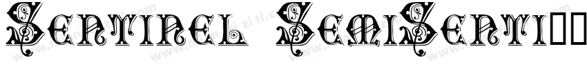 Sentinel SemiSenti字体转换